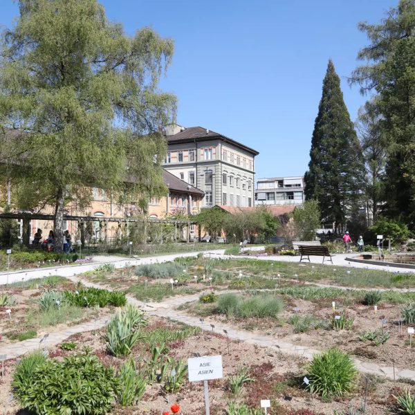 Jardin botanique de l’Université de Fribourg
